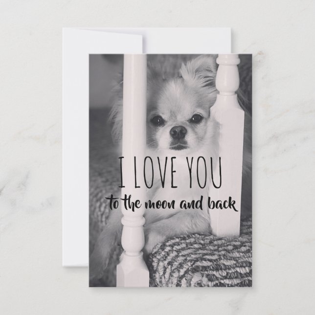 je t'aime jusqu'à la lune et retour (Devant)