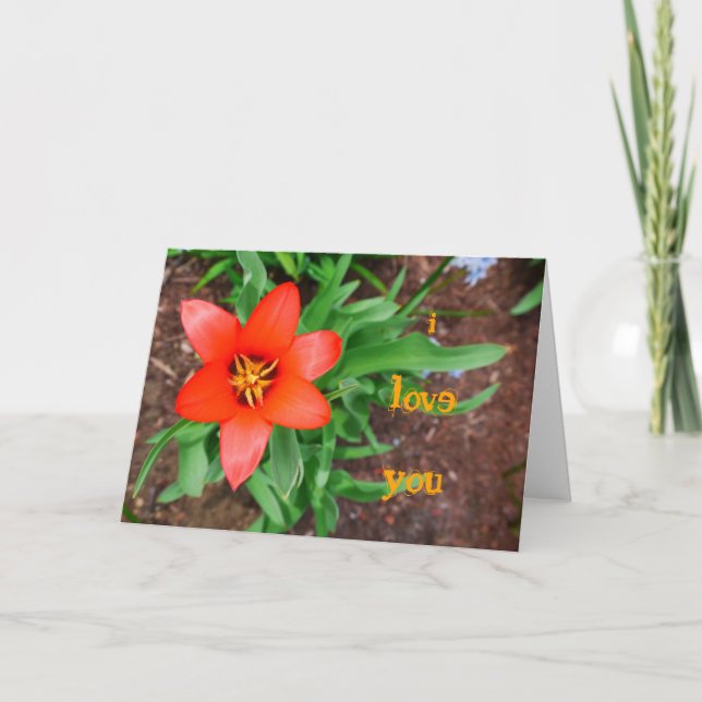 Je t'aime, la carte rouge Tulip (Devant)