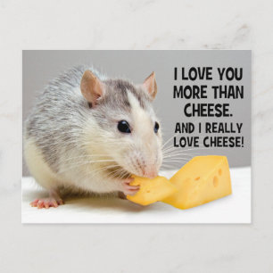 Je t'aime plus que le fromage Carte postale de rat