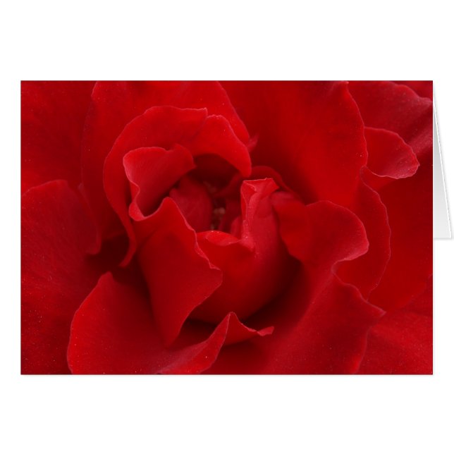 Je t'aimerai toujours (Devant horizontal)