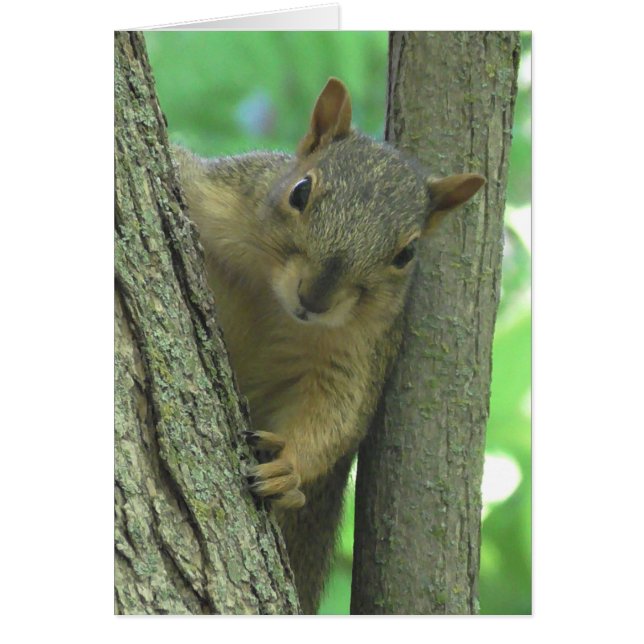 Je te manque Carte photo d'écureuil (Devant)