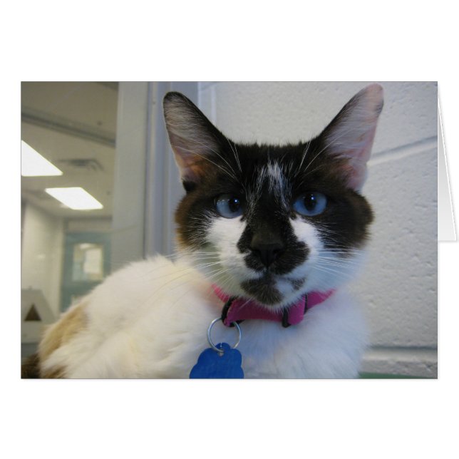 Je Te Vois Aussi (Devant horizontal)