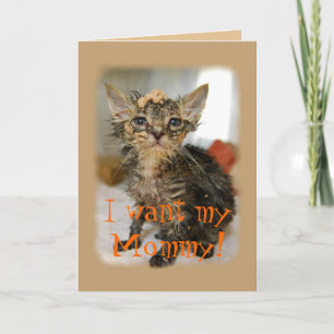 Je Veux Ma Maman ! Carte Messy Kitten