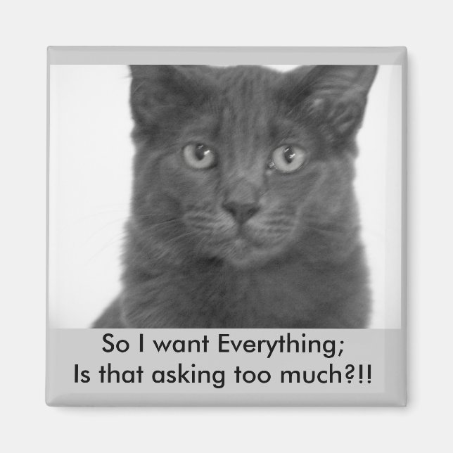 Je veux tout Magnet (Devant)