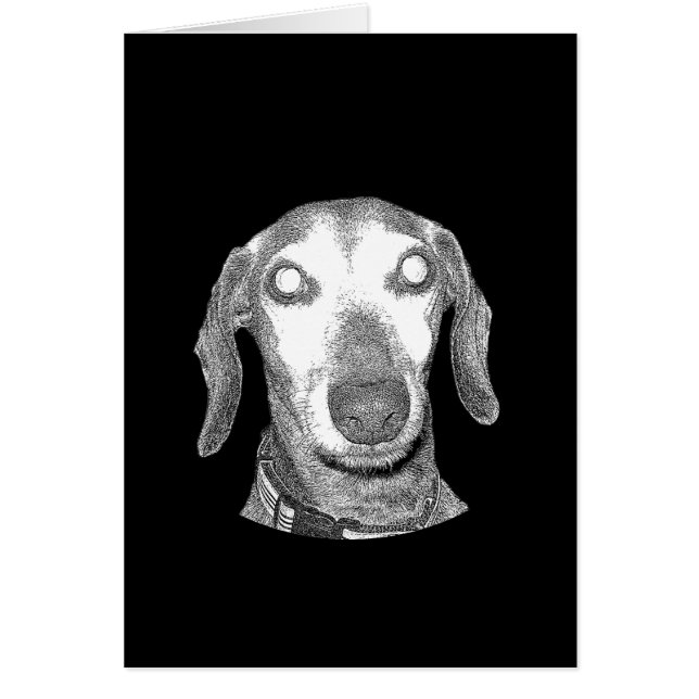 Je vous observe ! (Devant)