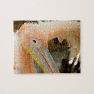 Je vous regarde Pélican Puzzle