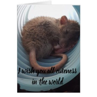 Je vous souhaite toute la gentillesse dans le