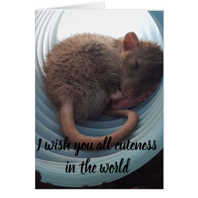 Je vous souhaite toute la gentillesse dans le (Devant)