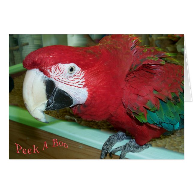 Je vous vois (Devant horizontal)