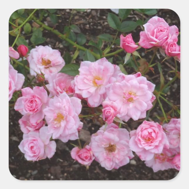 Jeanne LaJoie Rose #1 Stickers (Devant)