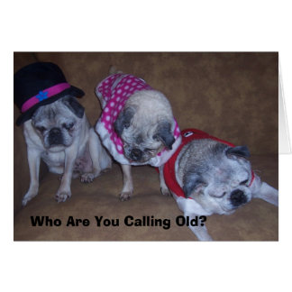 Jeff, Gina, Grand-Père, Qui Êtes-Vous Appelés...