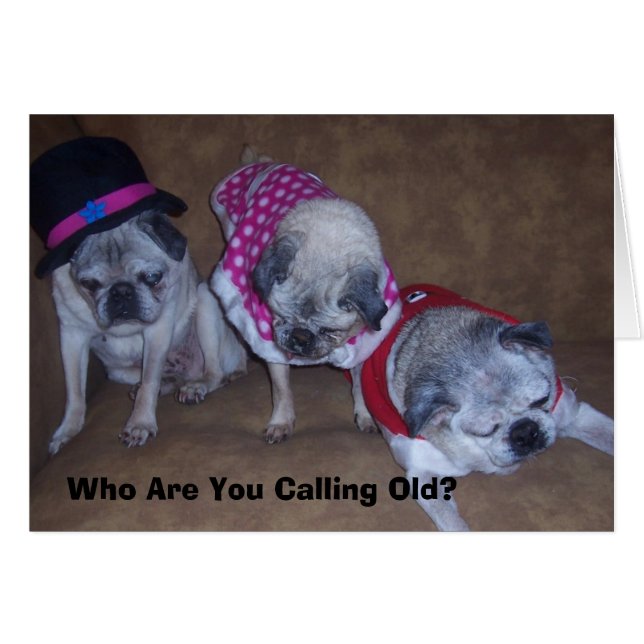 Jeff, Gina, Grand-Père, Qui Êtes-Vous Appelés... (Devant horizontal)