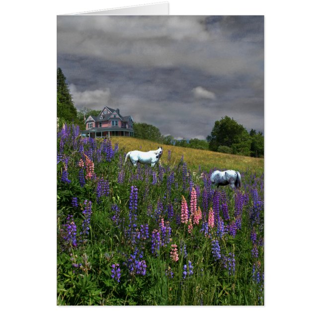 Jefferson Lupine (Devant)