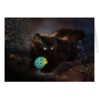 Jellybean noir