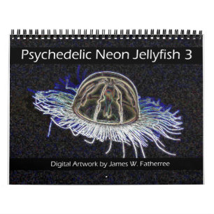 Jellyfish Psychédélique Calendrier 3