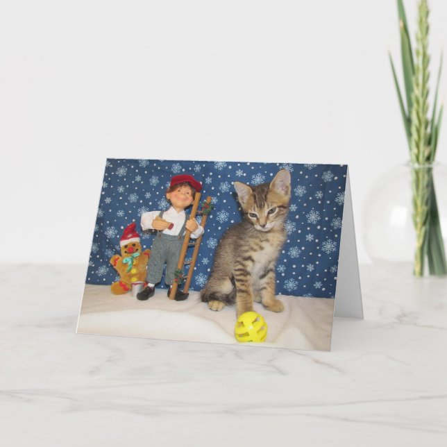 Jenkins et l'elfe - jolie carte de Noël pour chat (Devant)