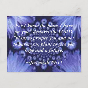 Jeremiah 29:11 Blue Daisy Carte postale