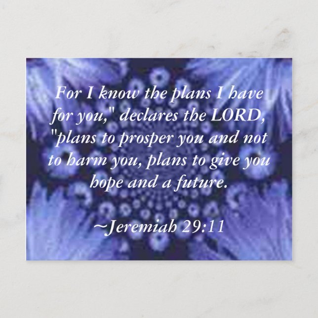Jeremiah 29:11 Blue Daisy Carte postale (Devant)