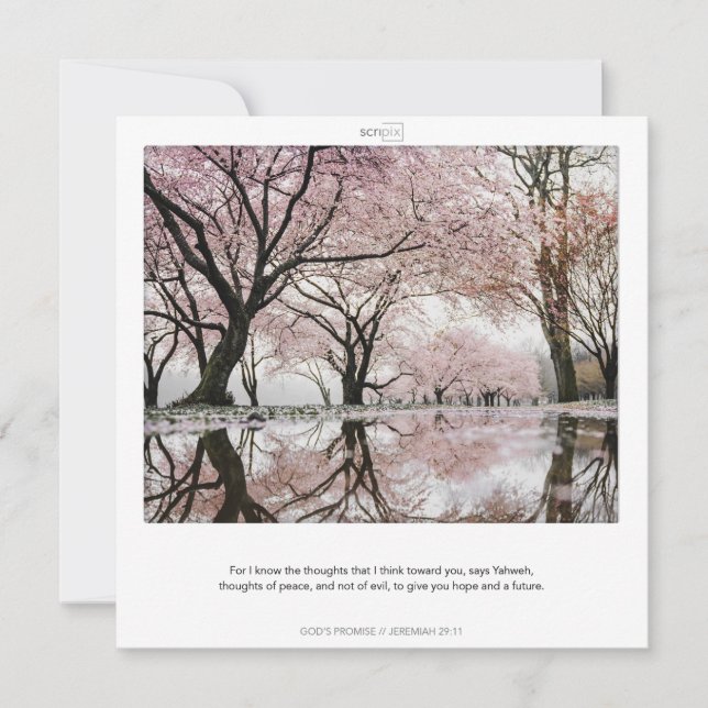 JEREMIAH 29:11 LES PROMESSES DE DIEU carte SCRIPIX (Devant)