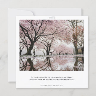 JEREMIAH 29:11 LES PROMESSES DE DIEU carte SCRIPIX