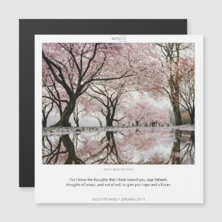 Jeremiah 29:11 LES PROMESSES DE DIEU SCRIPIX carte