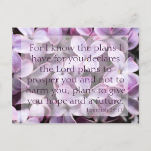 Jeremiah 29:11 Lilacs Carte Postale