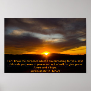 Jeremiah 29:11 Poster