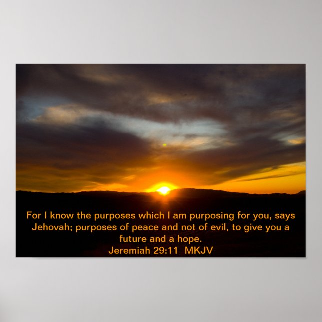 Jeremiah 29:11 Poster (Devant)