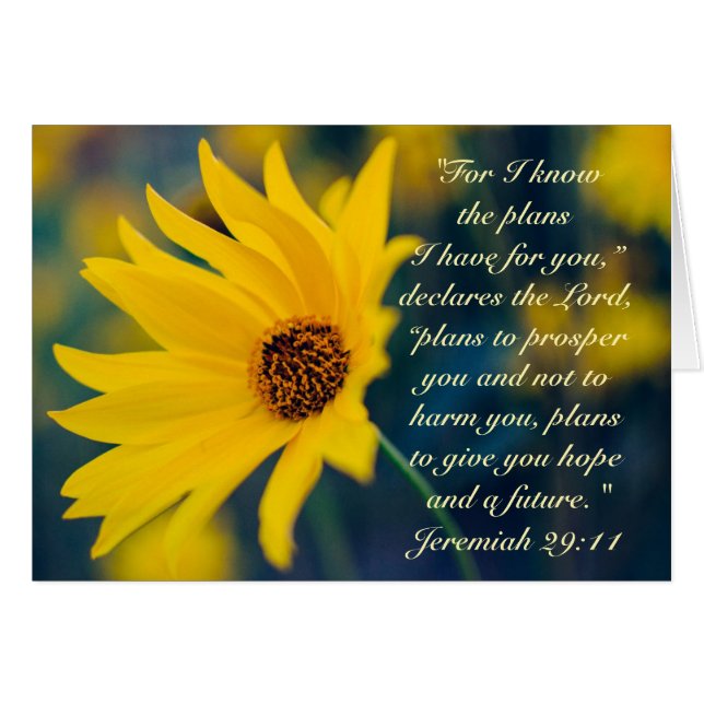 Jeremiah 29:11Je connais les plans que j'ai pour v (Devant horizontal)