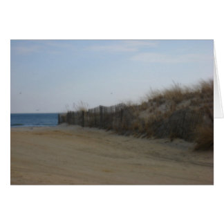 Jersey Shore * Plage adoucie