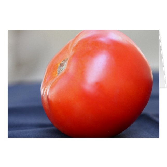 Jersey Tomate 1 (Devant horizontal)