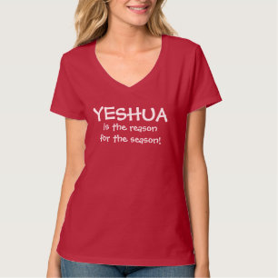 JÉSUS EST LA RAISON DE TOUT T-SHIRT