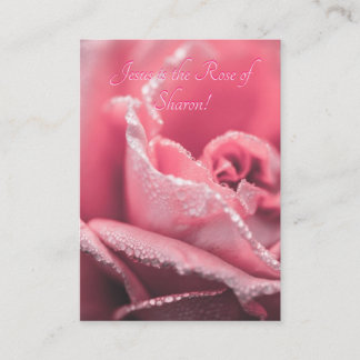 Jésus est le modèle de "La Rose de Saron"