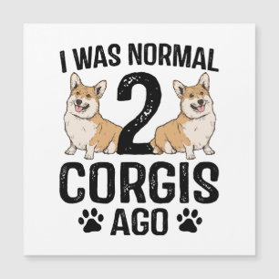 J'étais normal il y a 2 Corgis Chien