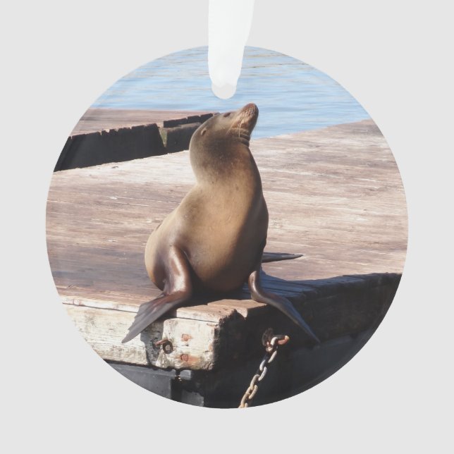 Jetée de San Francisco 39 Ornement de Noël de lion (devant)