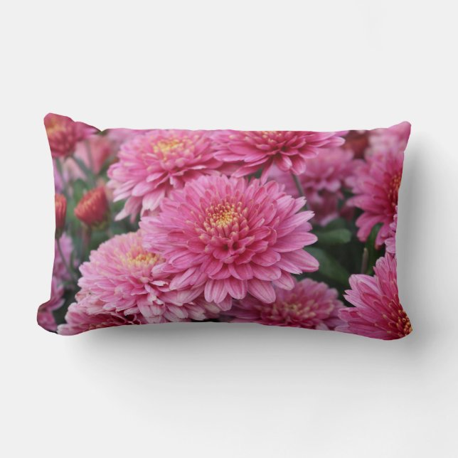 Jeter des oreillers avec Chrysanthèmes roses vibra (Recto)