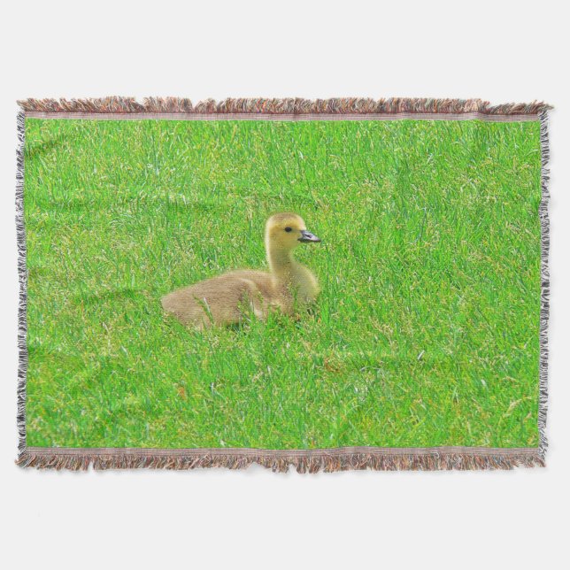 Jeter la couverture (Devant)