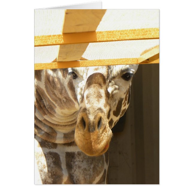 Jeter un coup d'oeil la carte de girafe (Devant)