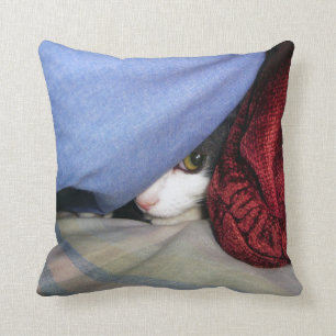 Jetez un coup d'oeil un coussin de huer