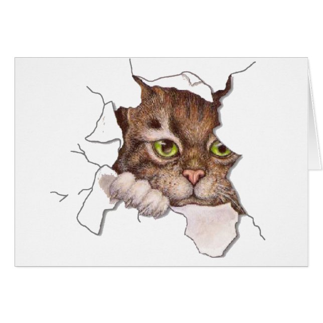 Jetez un coup d'oeil un huer Kitty 2 (Devant horizontal)
