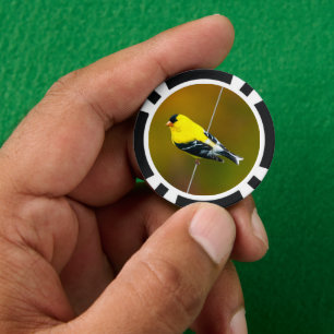 Jetons De Poker American Goldfinch - Photo originale
