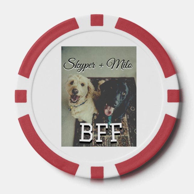 Jetons De Poker Animaux de compagnie amis besties ajouter nom anim (Recto)
