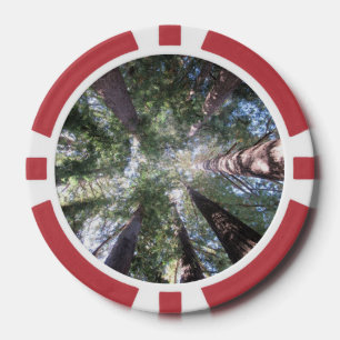 Jetons De Poker Arbres de séquoia à puces de poker Vue de dessus D