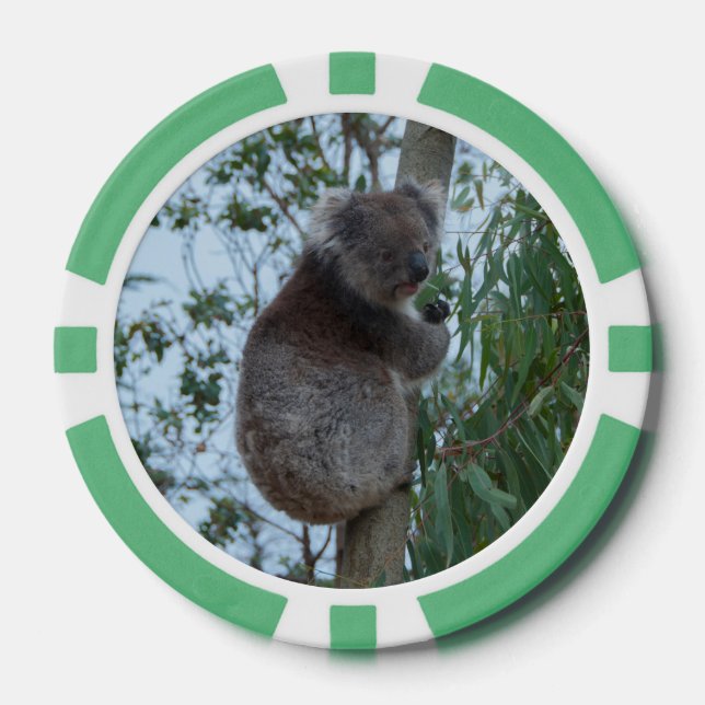 Jetons De Poker Australie Kangaroo Island Koala dans un arbre (Recto)