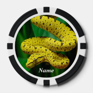 Jetons De Poker Baby Yellow Phase Green Tree Python Snake