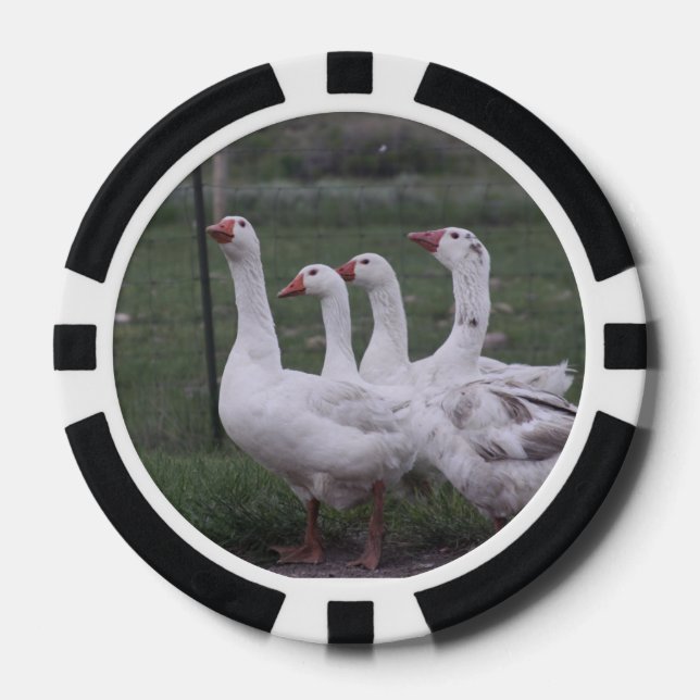 Jetons De Poker Canard (Recto)