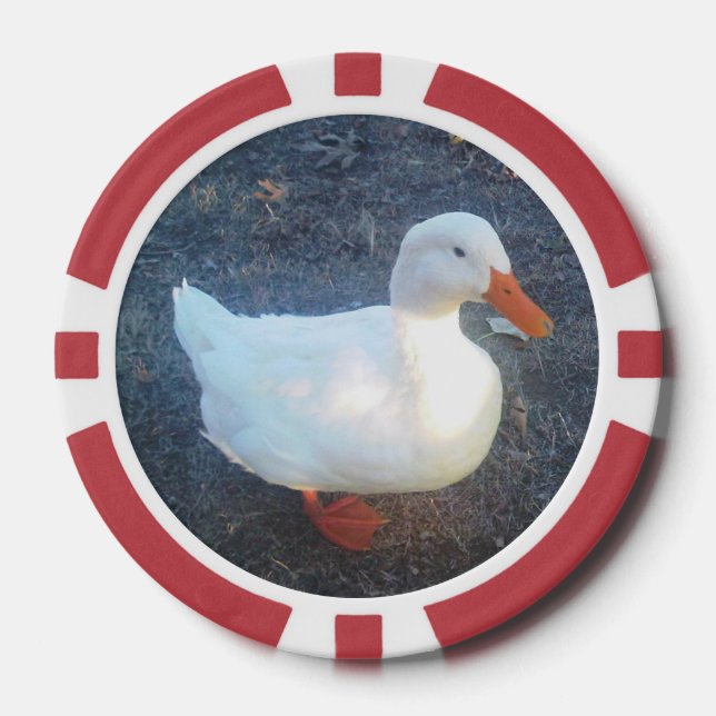 Jetons De Poker Canard (Recto)