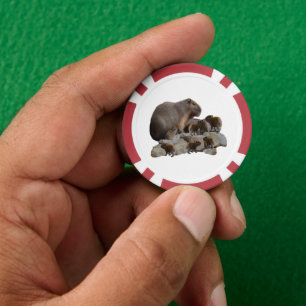 Jetons De Poker Capybaras De Mère Et De Bébé,