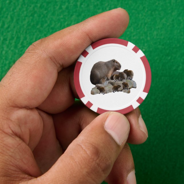 Jetons De Poker Capybaras De Mère Et De Bébé, (main)
