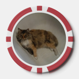 Jetons De Poker Cat